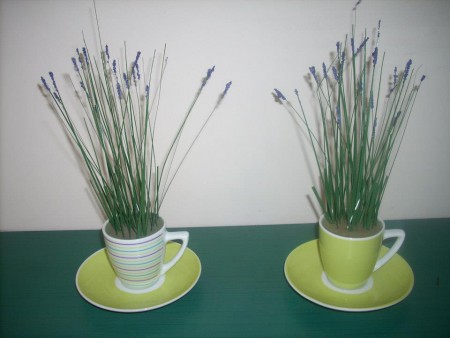 Lavanda en taza (Valor set $5.000.- CLP)