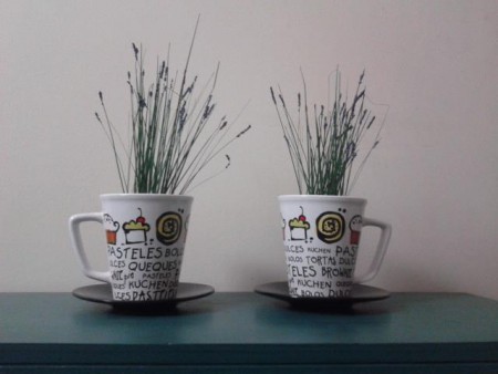 Lavanda en taza (Valor set $5.000.- CLP)